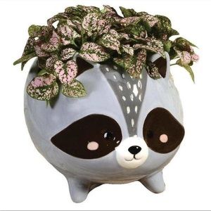 Raccoon Plant Pot